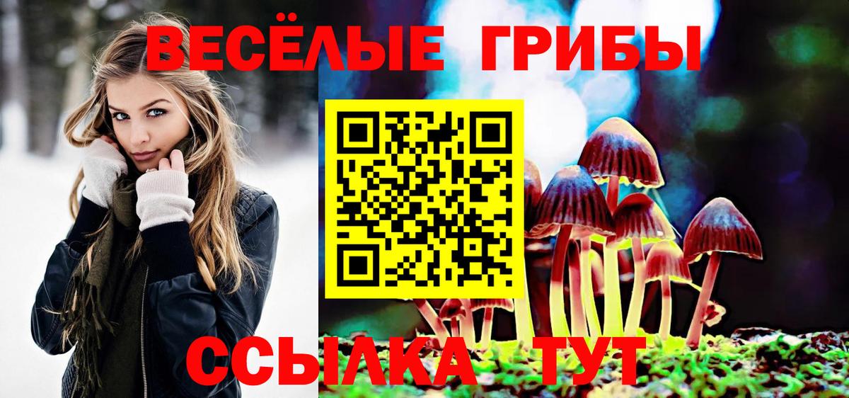 Галлюциногенные грибы ЛСД  Вход с VPN  Курганинск  Галлюциногенные грибы прущие грибы 